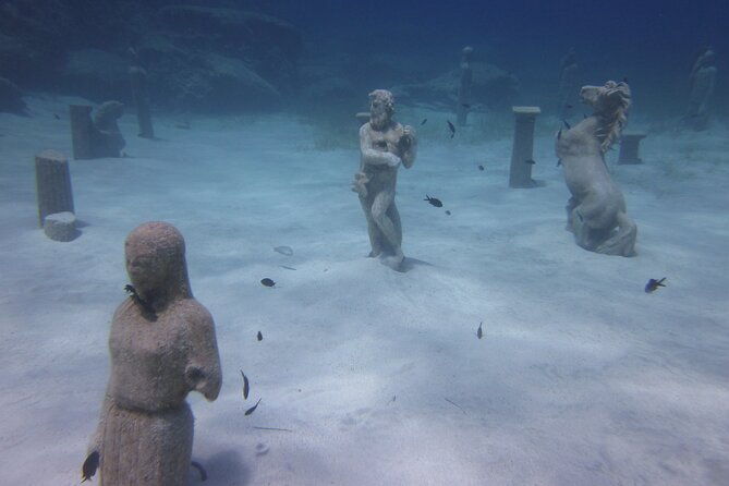 private-discovery-dive-photos-videos