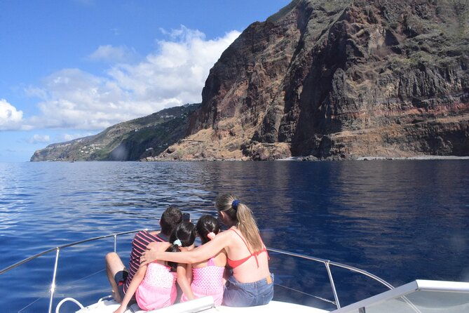 private-dolphin-and-whale-watching-tour-in-madeira