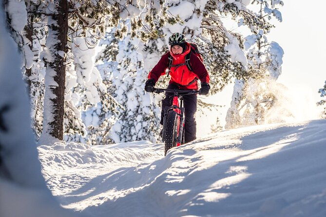 private-electric-fat-bike-winter-tour-in-rovaniemi