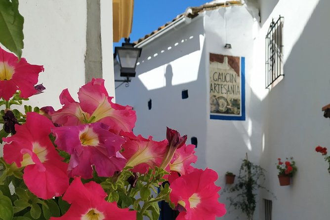 private-excursion-to-ronda-from-costa-del-sol-7-hours
