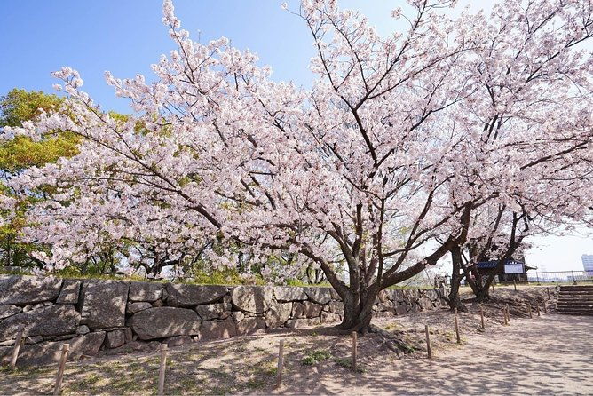 private-fukuoka-tour-with-a-local-highlights-hidden-gems-100-personalised