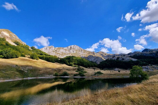 private-full-day-safari-tour