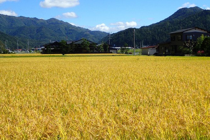 private-group-morning-cycling-tour-in-hida-furukawa