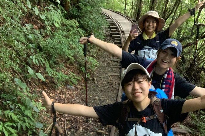 private-guide-plan-with-bento-lets-walk-in-the-forest-of-thousands-of-years-of-age-jomon-cedar-day-trip-trekking-special-lunch-with-yakushima-ingredients