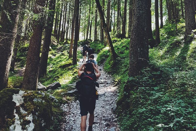 private-guided-hiking-tour-sequoia-national-park
