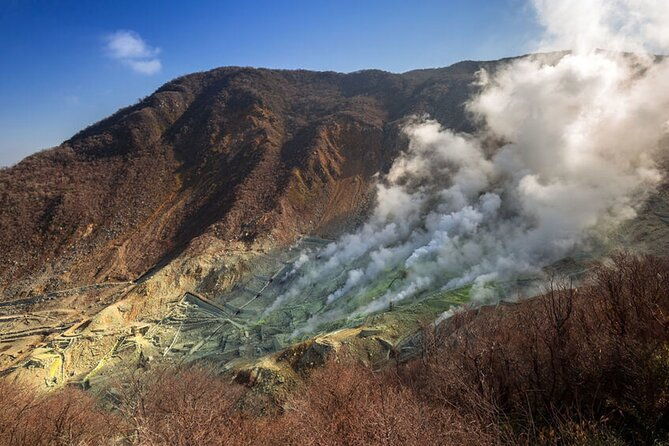 private-hakone-tour-with-a-luxury-van