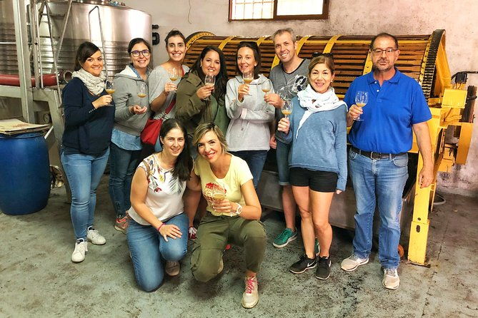 private-half-day-wine-tour-near-madrid-rated-unique-and-personalized