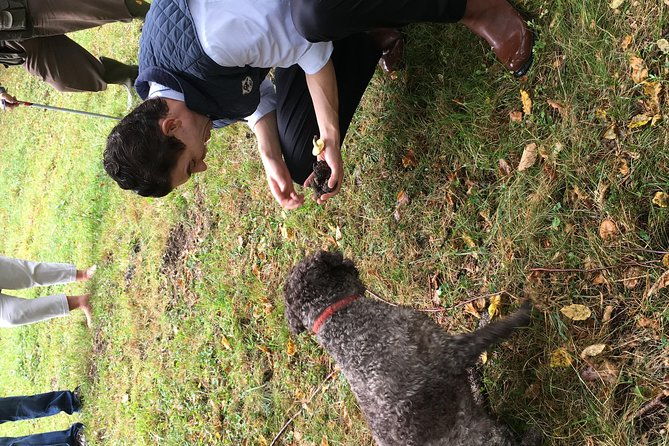 private-hunting-of-truffle-and-mushrooms-with-chef-luigi-gandola-in-bellagio