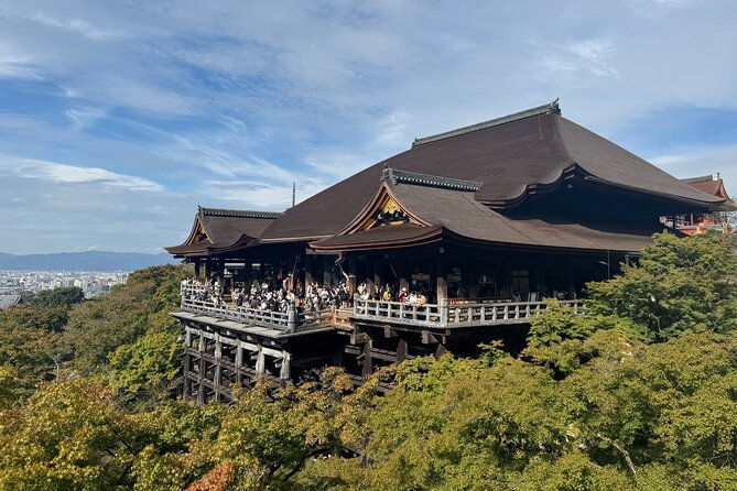 private-kyoto-morning-tour-top-landmarks-in-half-a-day-2