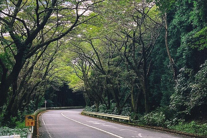 private-motorcycle-day-tour-to-fuji-and-hakone-onsen-and-nature