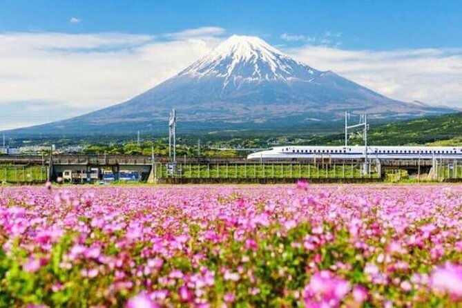 private-mount-fuji-and-hakone-sightseeing-day-trip-with-guide