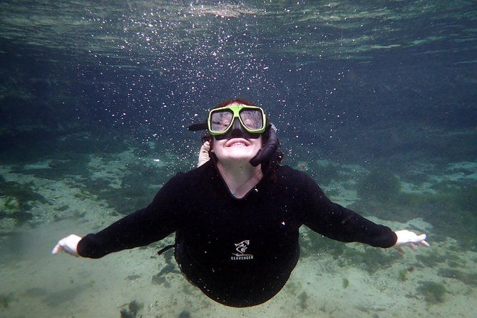 private-og-manatee-snorkel-tour-with-guide-for-up-to-10-people