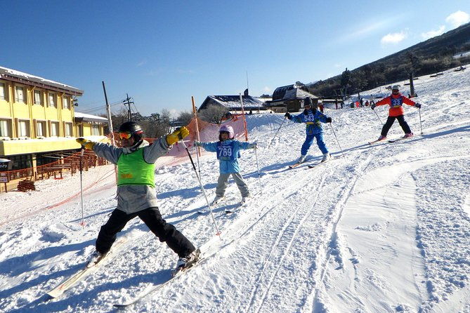 private-ski-lesson-for-family-or-grouptransport-included