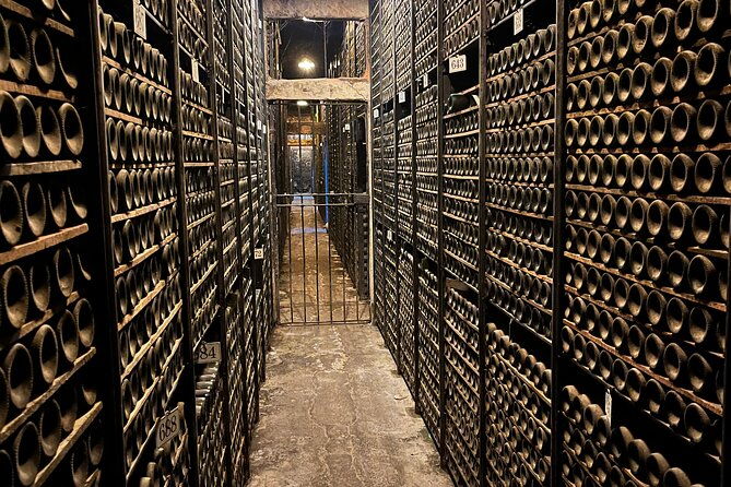 private-tour-bilbao-to-la-rioja-a-day-of-winery-tours-and-tasting