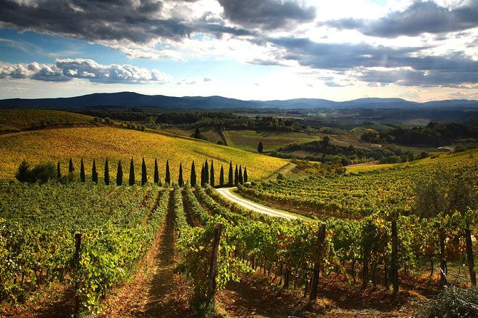 private-tour-guided-hike-in-tuscany-with-transport-from-siena