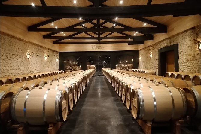 private-tour-in-the-prestigious-medoc-wine-region
