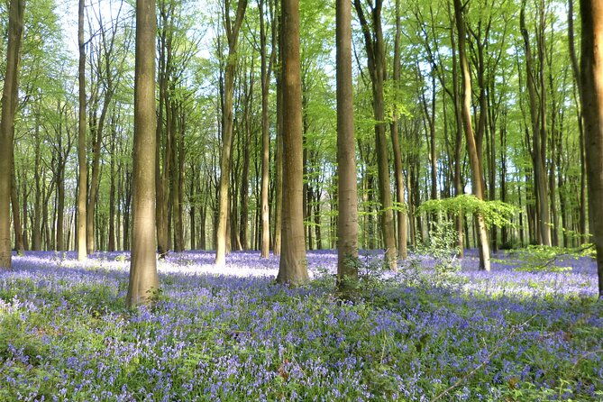 private-tour-of-quintessential-wiltshire-and-cotswold-villages