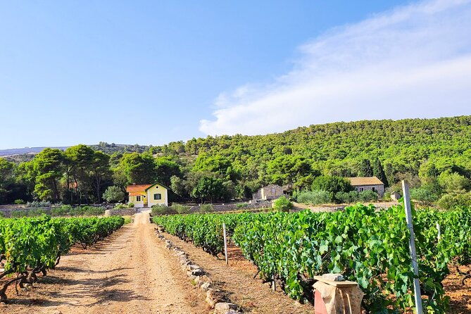 private-wine-and-gin-tour-around-the-island-of-korcula