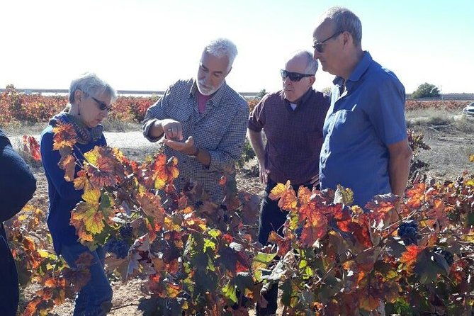 private-wine-tour-with-wine-tasting-and-full-lunch