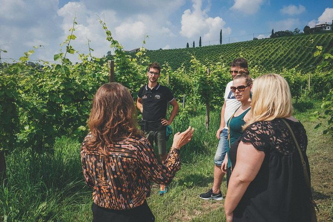 prosecco-wine-tour-from-venice-small-group-experience