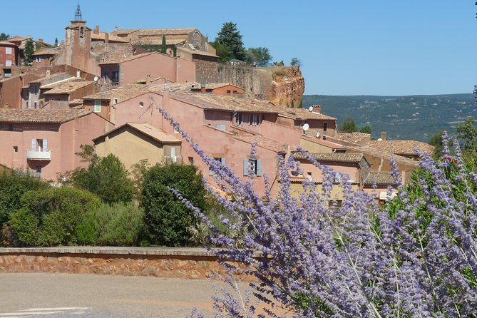 provence-lavender-full-day-tour-from-avignon