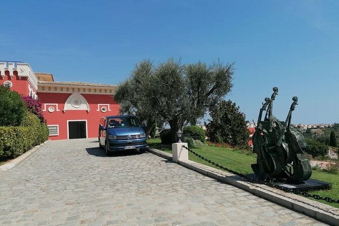 provence-organic-wine-small-group-half-day-tour-with-tastings-from-nice
