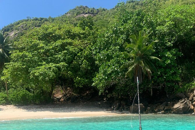 reef-safari-snorkeling-fish-feeding-lunch-shared-day-trip