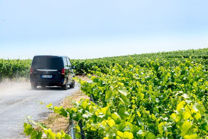 reims-afternoon-tour-champagne-and-family-growers