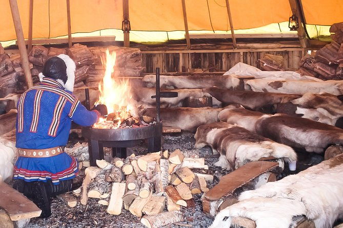 reindeer-visit-and-sami-culture-including-lunch-from-tromso