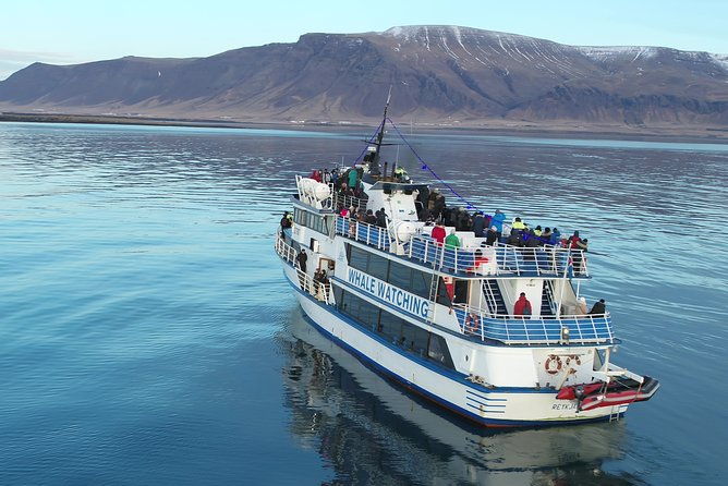 reykjavik-shore-excursion-whale-watching-cruise