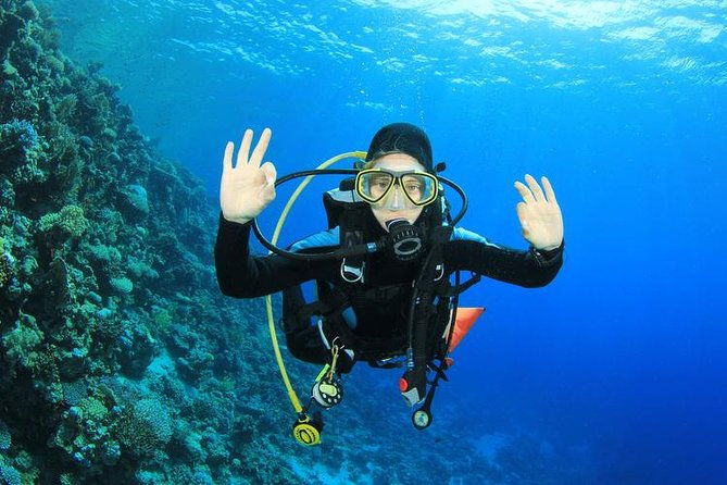 rhodes-scuba-diving-experience