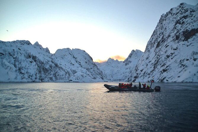 rib-sea-eagle-safari-trollfjord-cruise