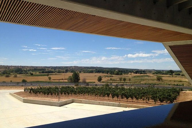 ribera-del-duero-wineries-guided-tour-wine-tasting-from-madrid
