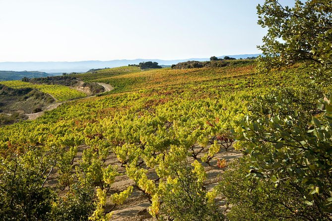 rioja-wine-tour-2-wineries-from-bilbao