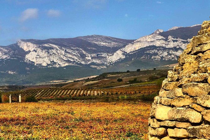 rioja-wineries-and-laguardia-tour-with-picnic-from-san-sebastian