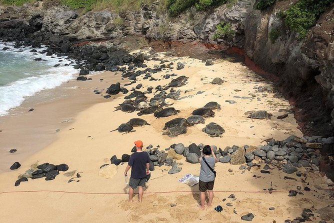 road-to-hana-full-day-scenic-drive-with-blacksand-waterfalls