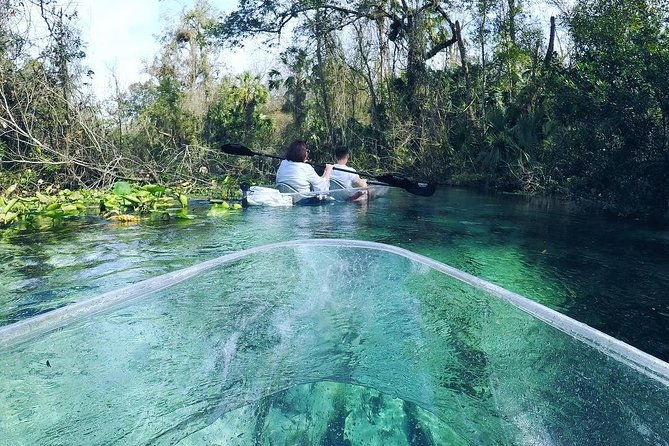 rock-springs-2-hour-glass-bottom-guided-kayak-eco-tour