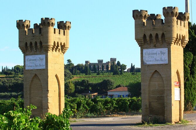 roman-heritages-and-chateauneuf-du-pape-wine-tour-from-avignon