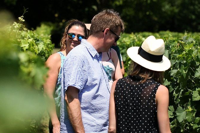 saint-emilion-winery-morning-tour-with-local-guide