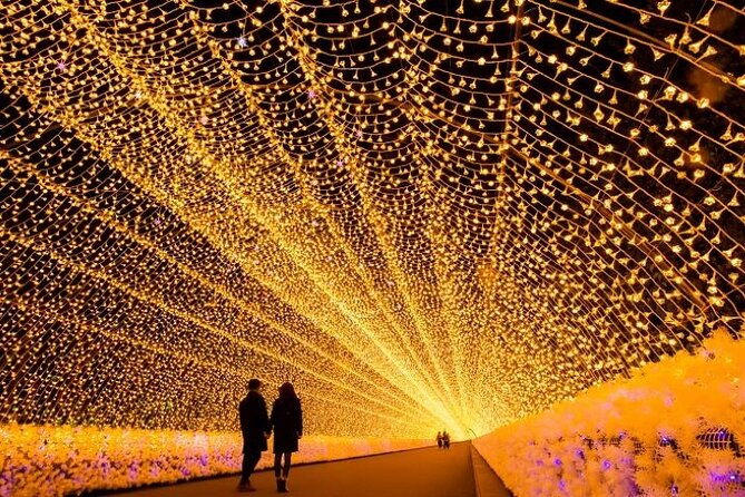 sakura-magic-and-nabana-no-sato-day-tour-from-osaka
