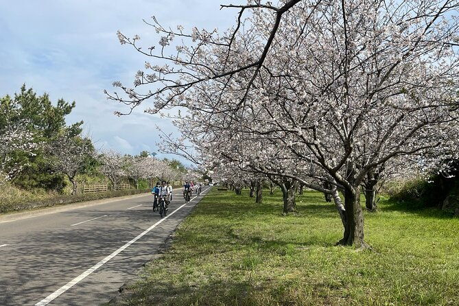 sakurajima-one-day-round-journey-e-bike-tour