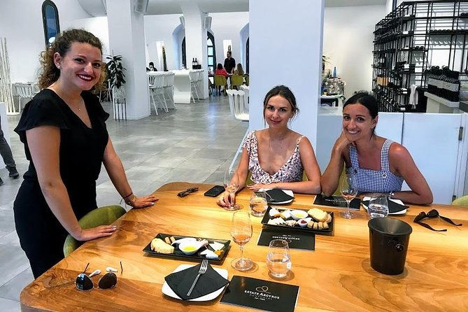 santorini-wine-and-food-experience-with-pick-up-included