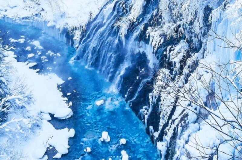 sapporo-asahiyama-zoo-shirahige-falls-biei-pond-day-tour