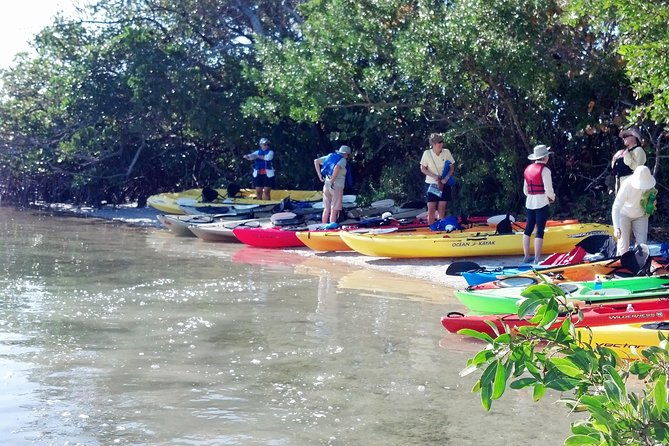 sarasota-guided-mangrove-tunnel-kayak-tour