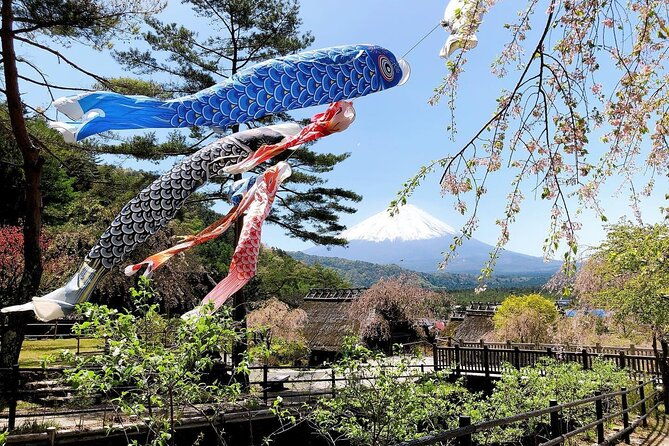 scenic-spots-of-mount-fuji-full-day-sightseeing-tour-from-tokyo
