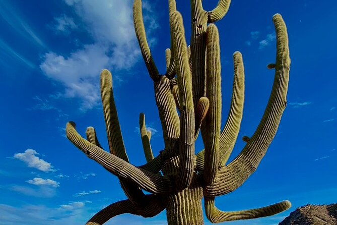 scottsdale-desert-classic-guided-hiking-adventure