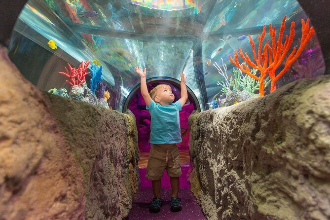 sea-life-aquarium-minnesota-admission-ticket-at-mall-of-america