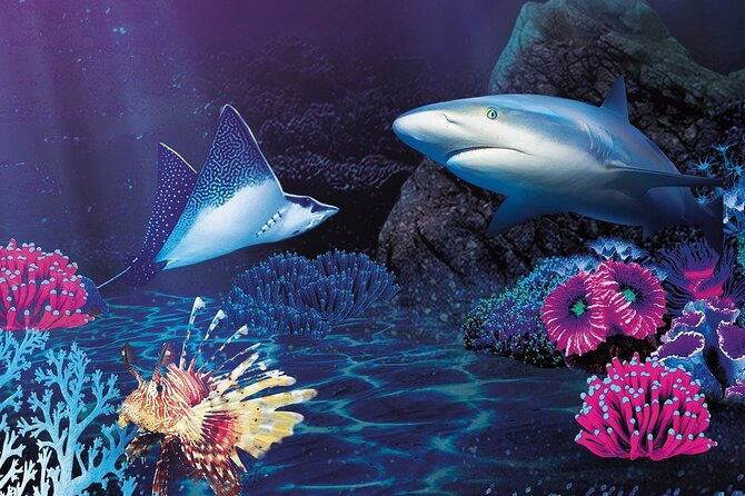 sealife-benalmadena-entrance-ticket