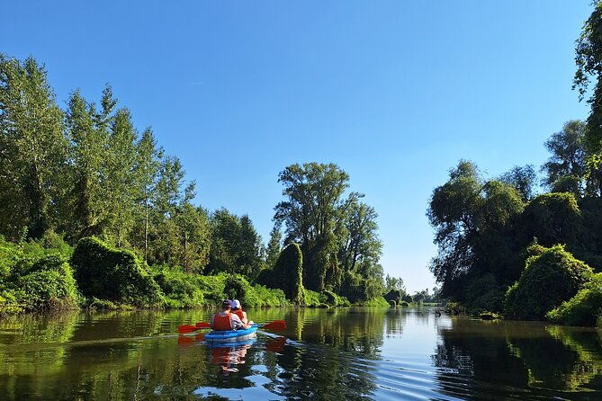 self-guided-kayak-tour-in-belgrade