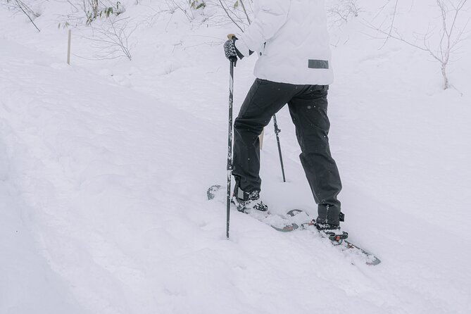 shared-snowshoe-hiking-tour-in-semboku